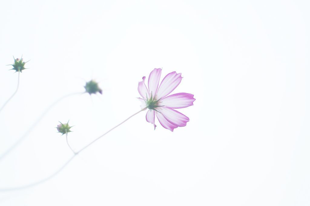 f:id:couleurnoor:20181001162616j:plain
