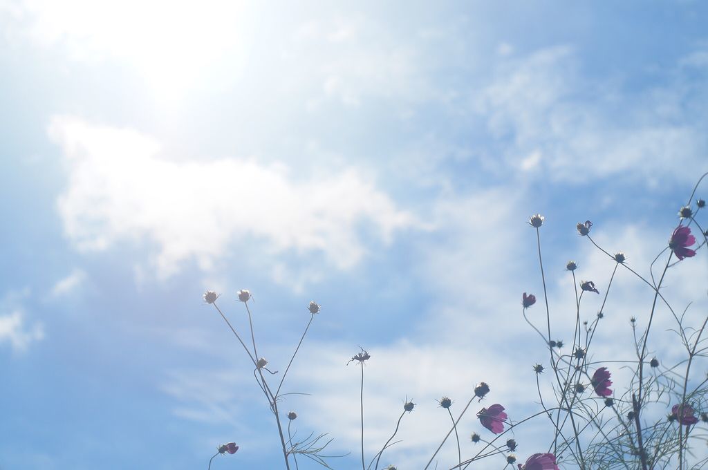 f:id:couleurnoor:20181005150856j:plain