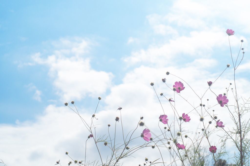 f:id:couleurnoor:20181005160801j:plain