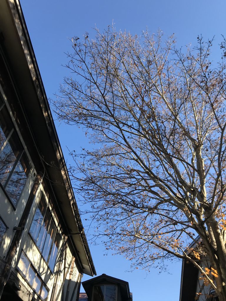 f:id:couleurnoor:20181115161531j:plain f:id:couleurnoor:20181115161531j:plain