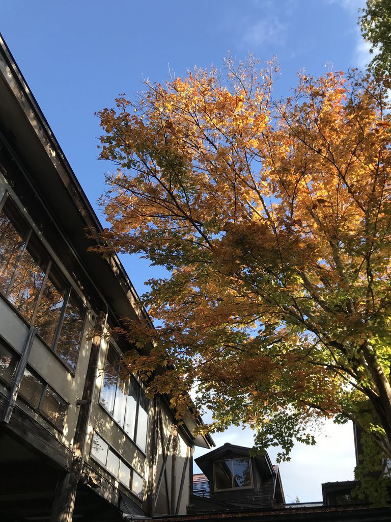 f:id:couleurnoor:20181115161646j:plain f:id:couleurnoor:20181115161646j:plain