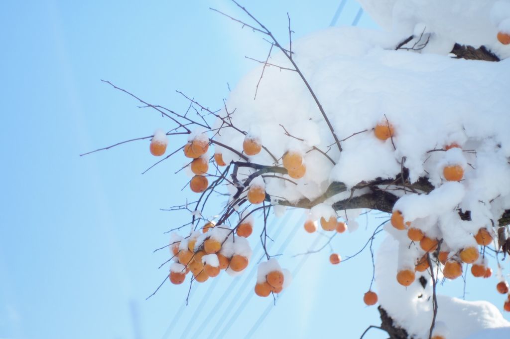 f:id:couleurnoor:20190125151927j:plain