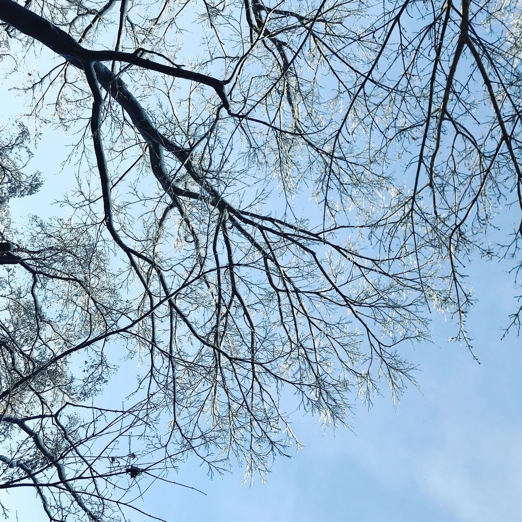 f:id:couleurnoor:20190129120034j:plain