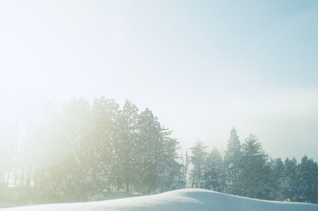f:id:couleurnoor:20190208161801j:plain