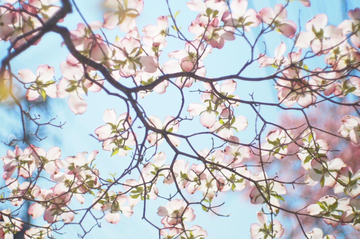 f:id:couleurnoor:20190511162306j:plain