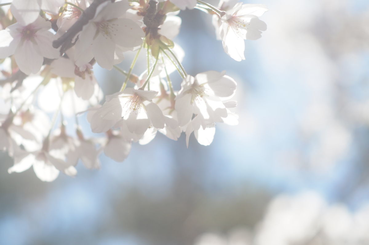 f:id:couleurnoor:20190511163445j:plain