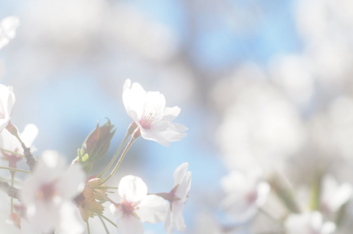f:id:couleurnoor:20190511163511j:plain