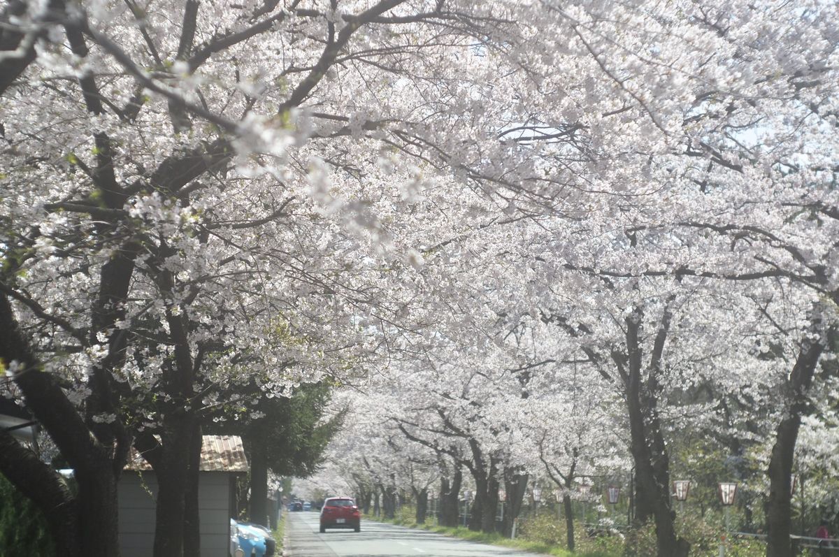 f:id:couleurnoor:20190511163531j:plain