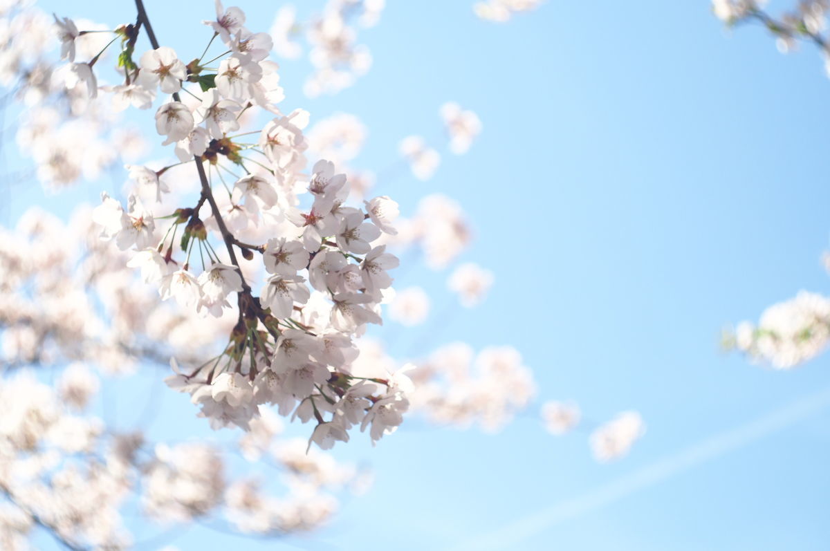 f:id:couleurnoor:20190511163626j:plain