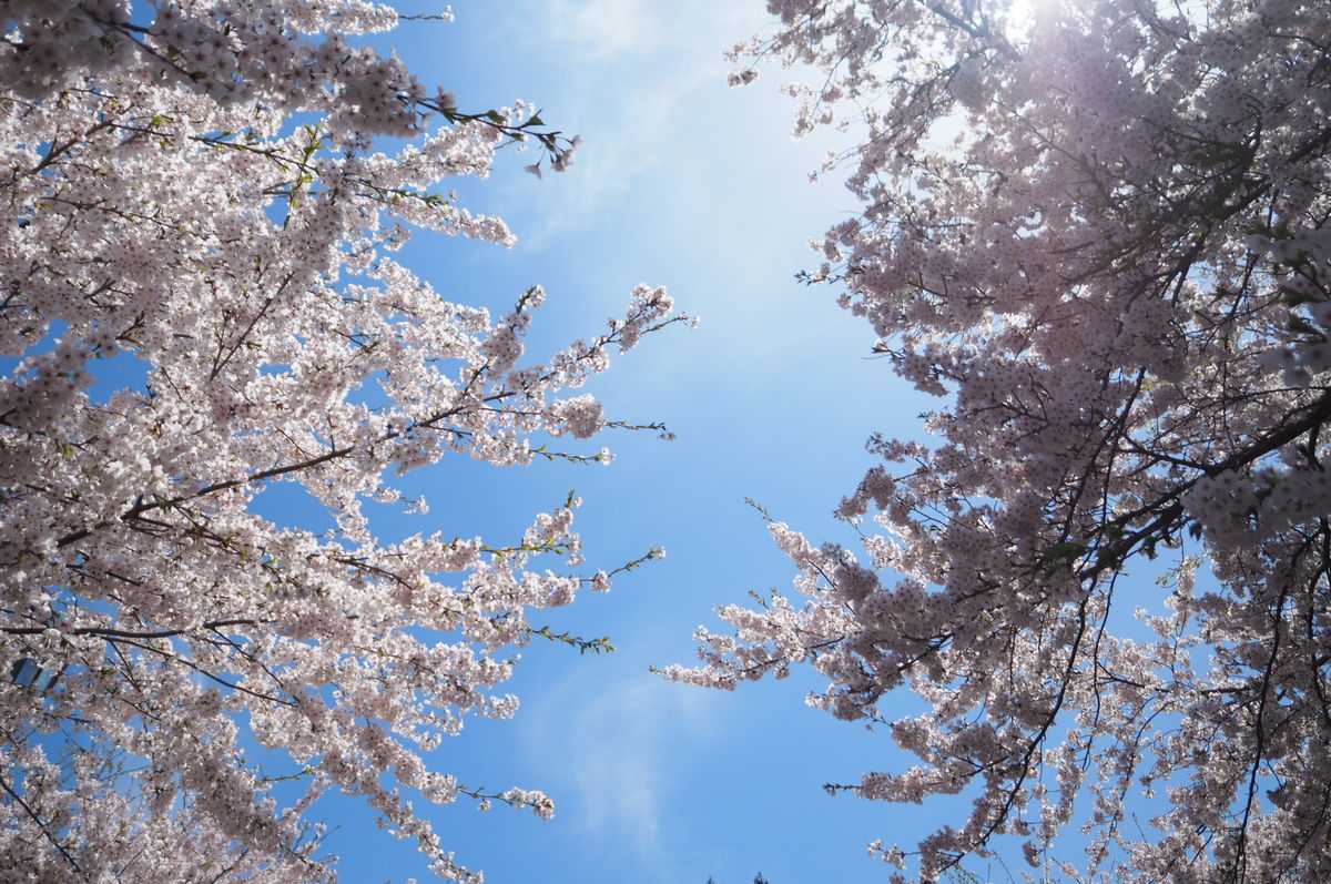 f:id:couleurnoor:20190511164034j:plain