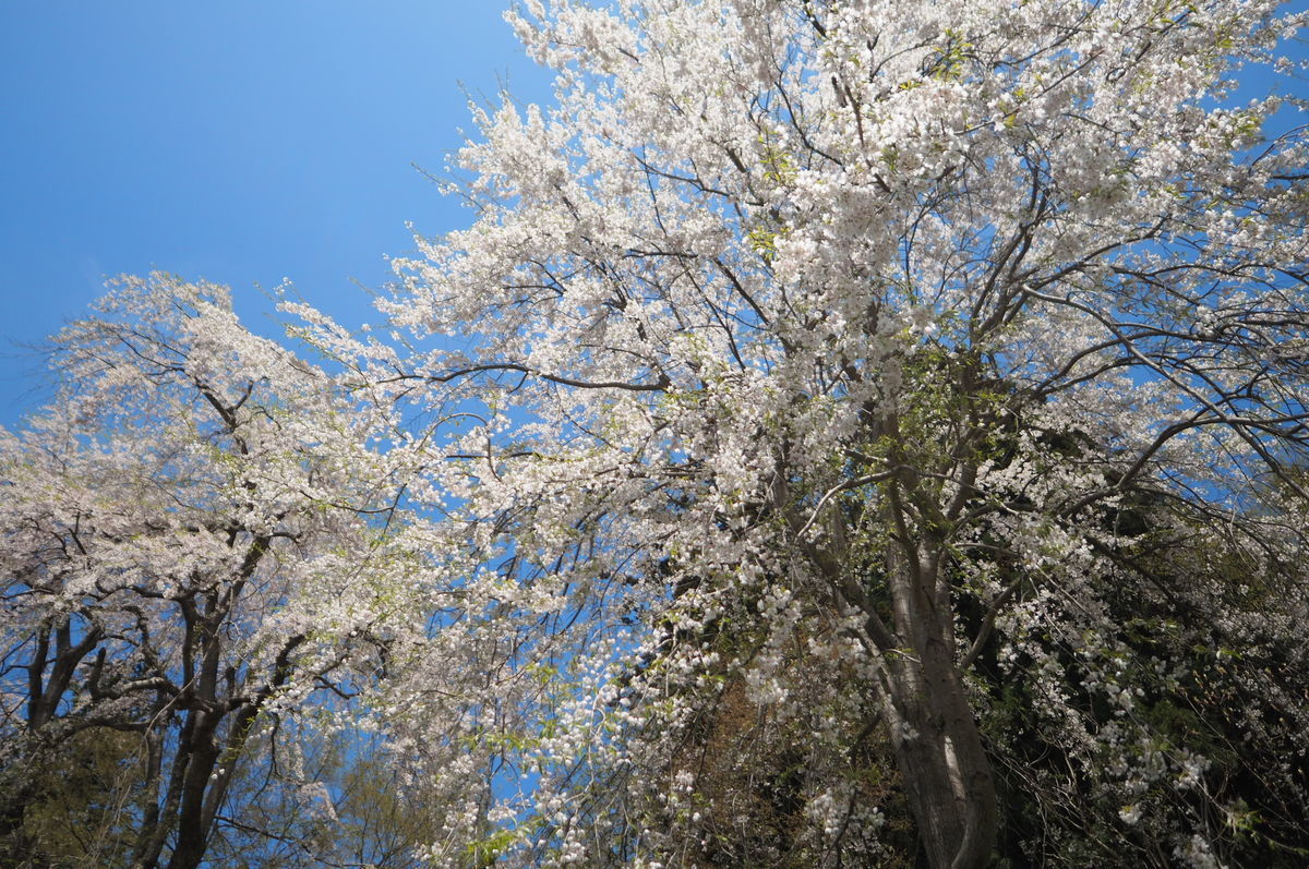 f:id:couleurnoor:20190511164053j:plain
