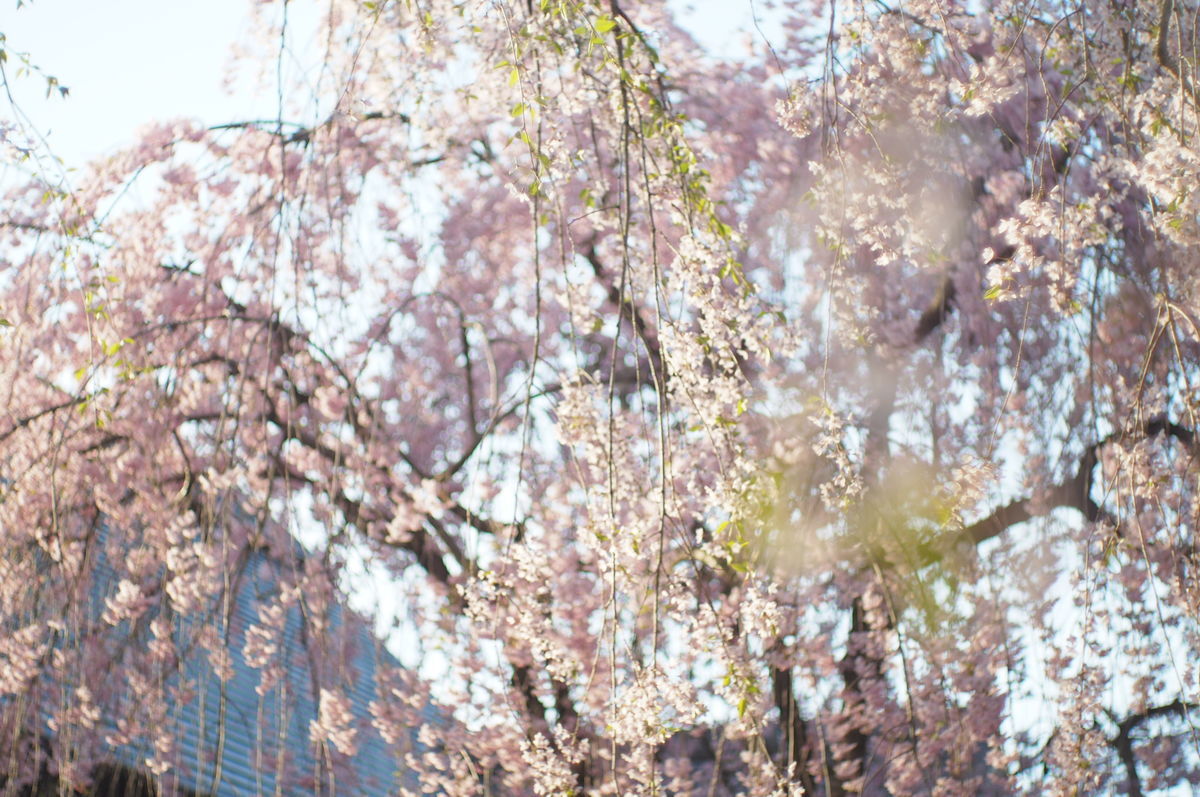 f:id:couleurnoor:20190511164439j:plain