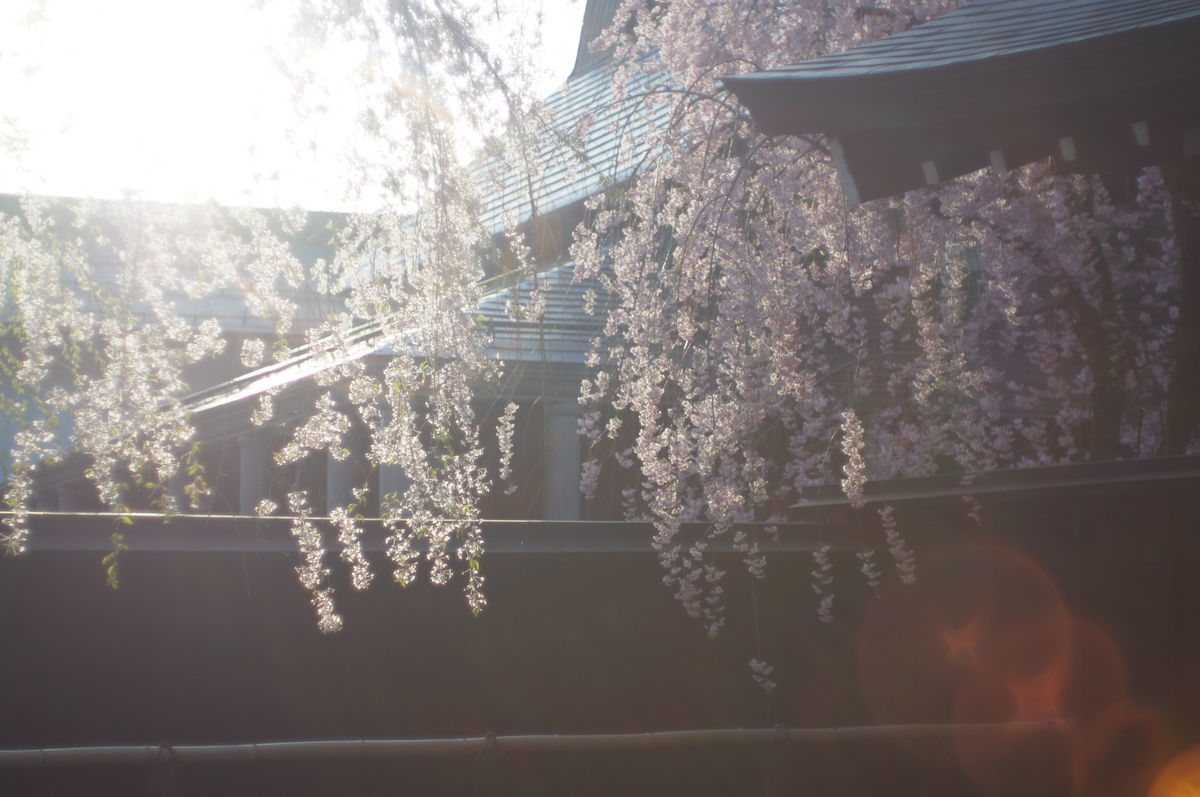 f:id:couleurnoor:20190511164503j:plain