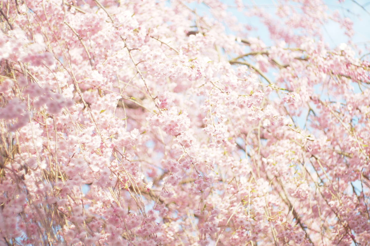 f:id:couleurnoor:20190511164811j:plain