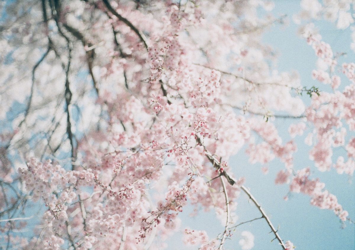 f:id:couleurnoor:20190514160600j:plain