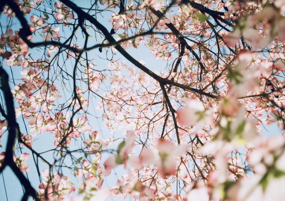 f:id:couleurnoor:20190514162250j:plain