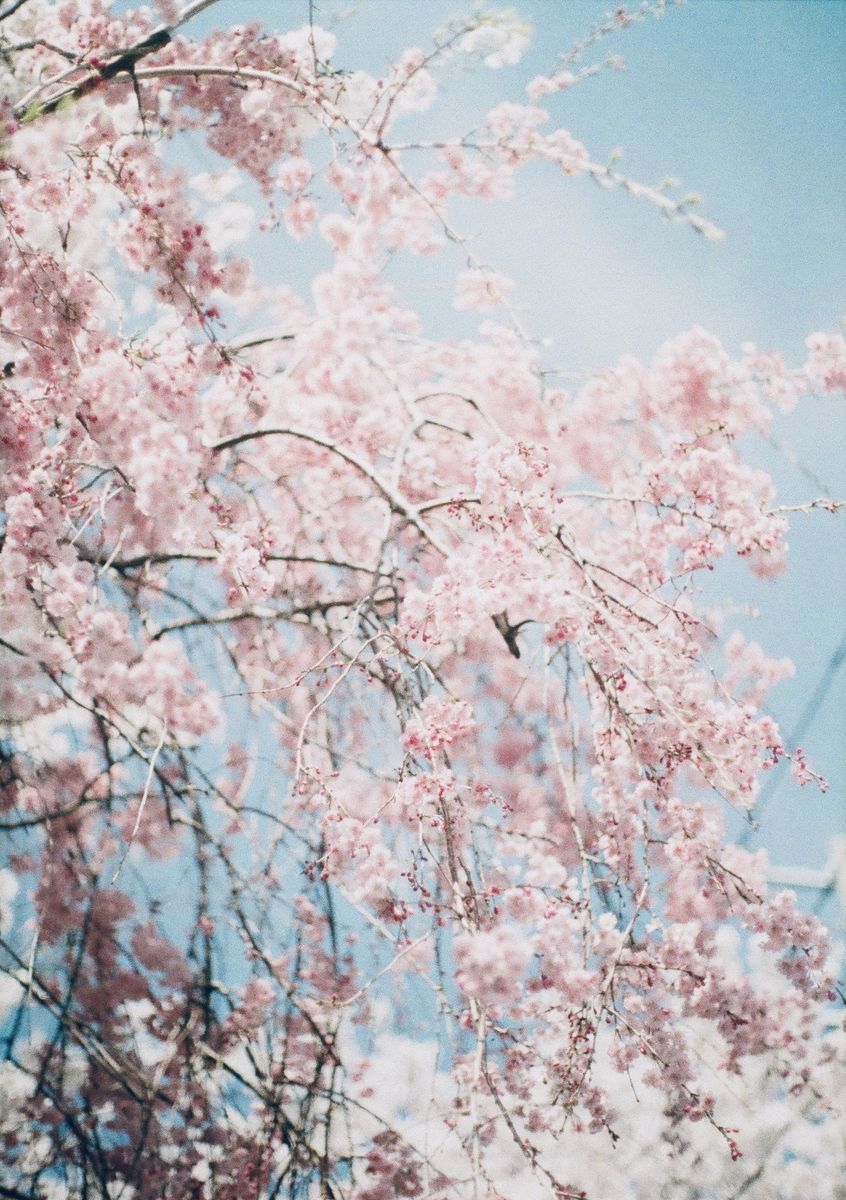 f:id:couleurnoor:20190514162318j:plain