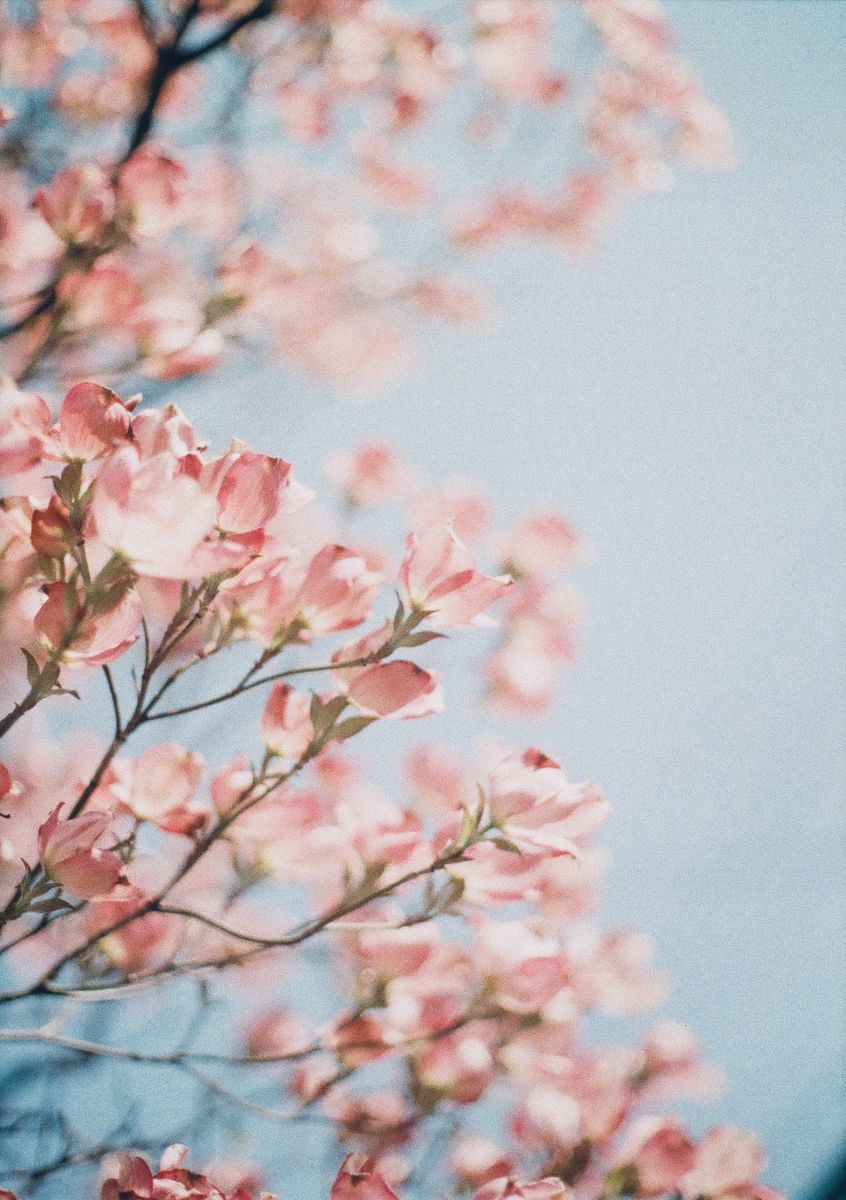 f:id:couleurnoor:20190514162334j:plain