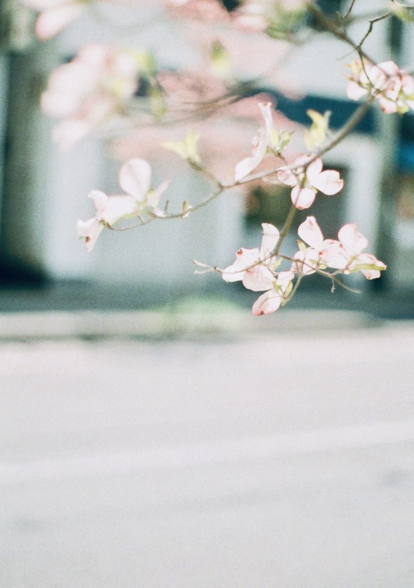 f:id:couleurnoor:20190514162417j:plain