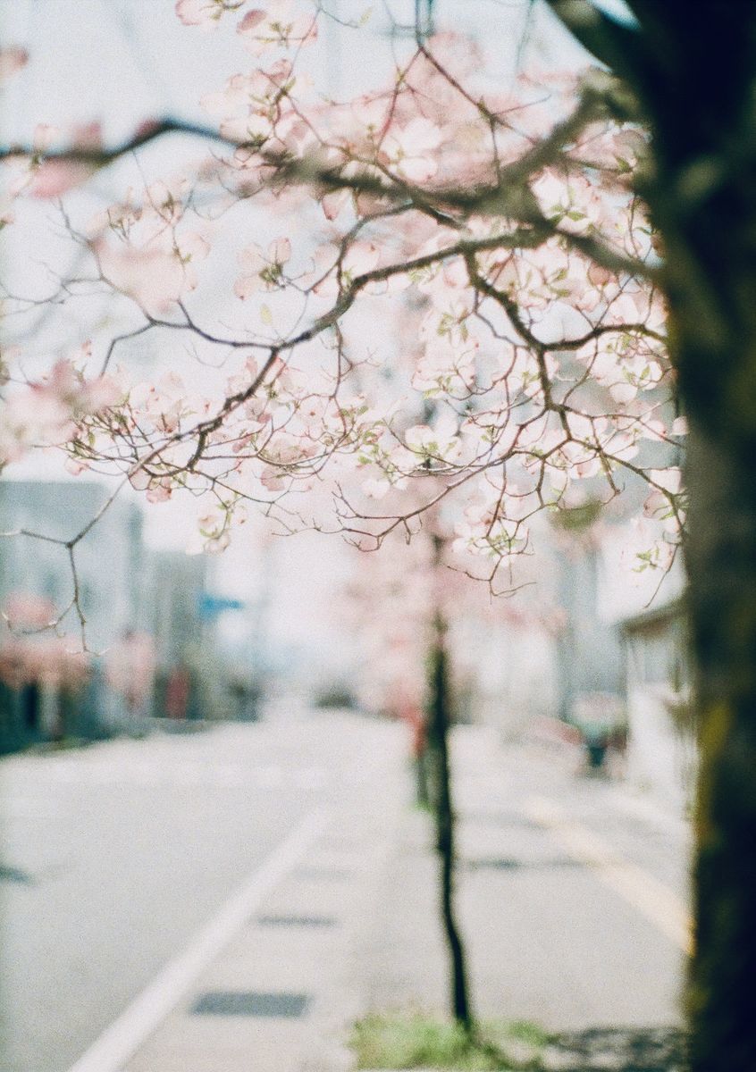 f:id:couleurnoor:20190514162427j:plain
