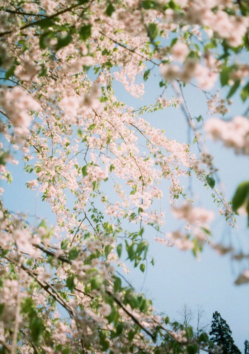 f:id:couleurnoor:20190514162615j:plain