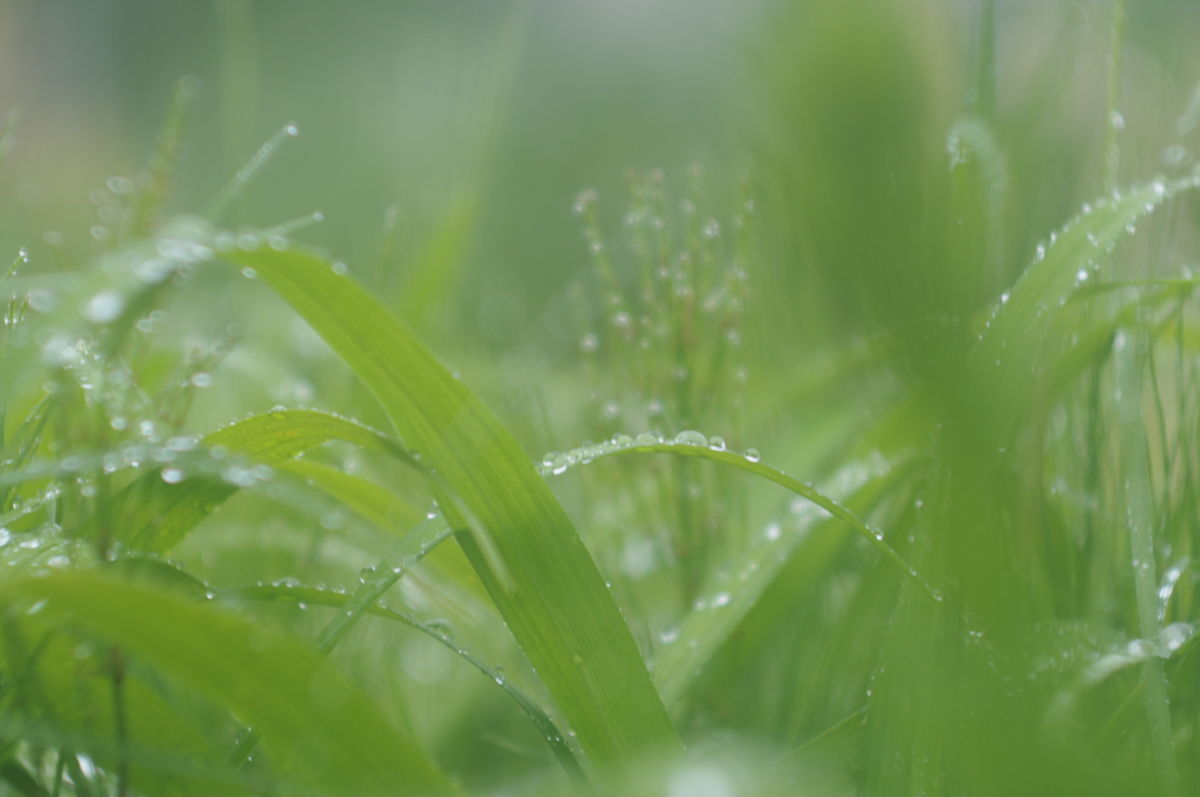 f:id:couleurnoor:20190601154416j:plain