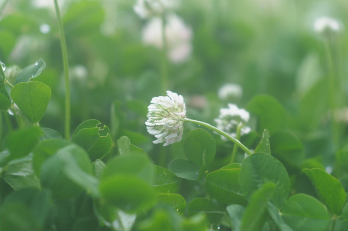 f:id:couleurnoor:20190601155056j:plain