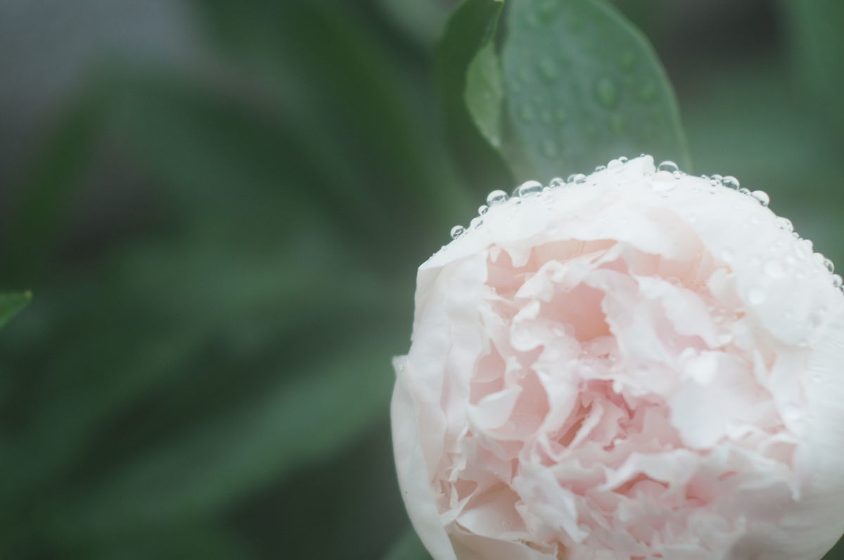 f:id:couleurnoor:20190601160627j:plain