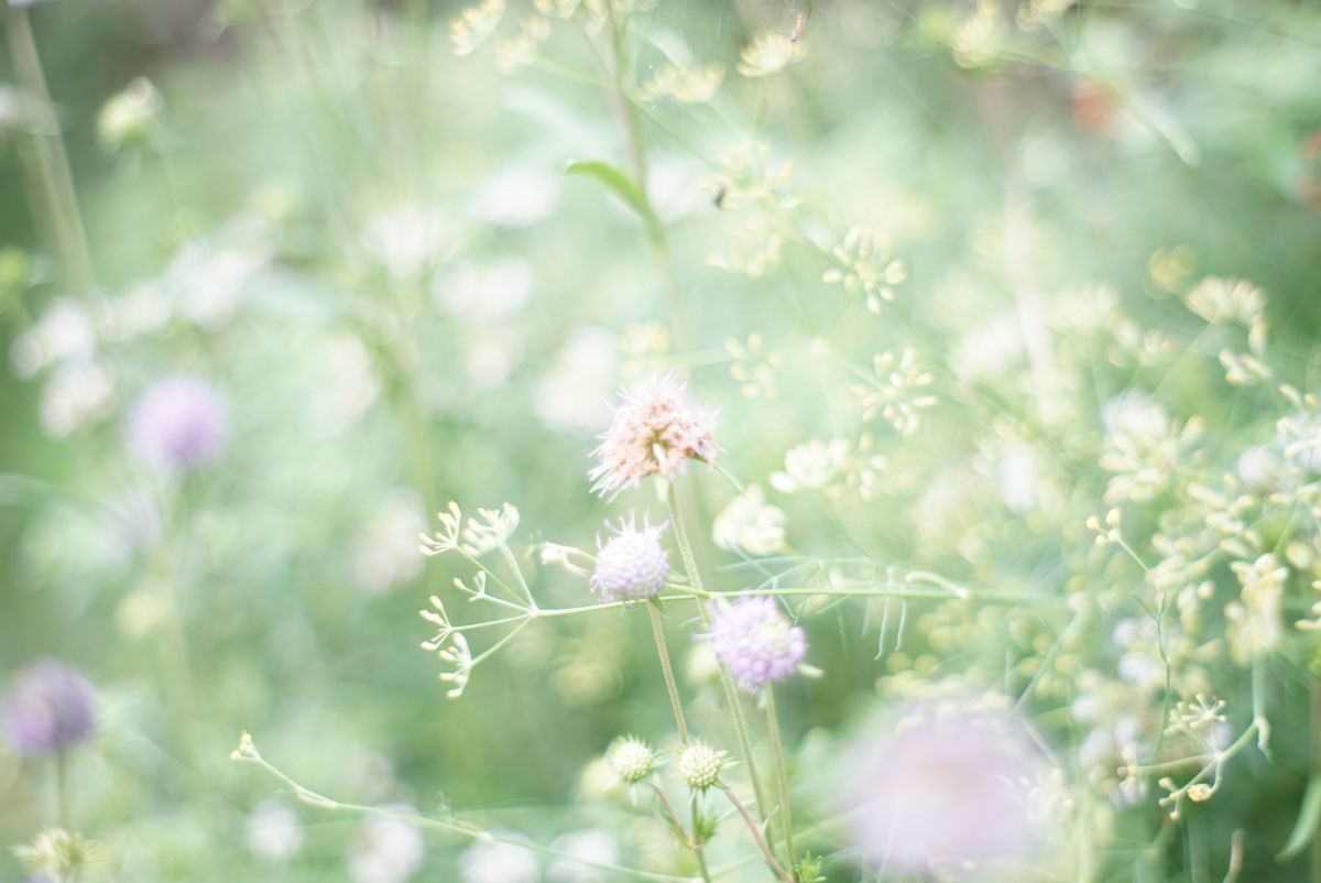 f:id:couleurnoor:20191018113523j:plain