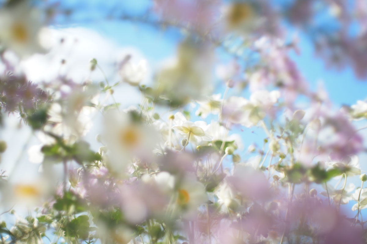 f:id:couleurnoor:20200111204609j:plain f:id:couleurnoor:20200111204609j:plain