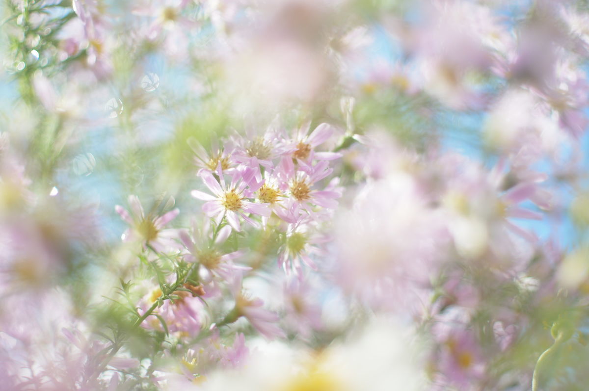 f:id:couleurnoor:20200111204855j:plain f:id:couleurnoor:20200111204855j:plain