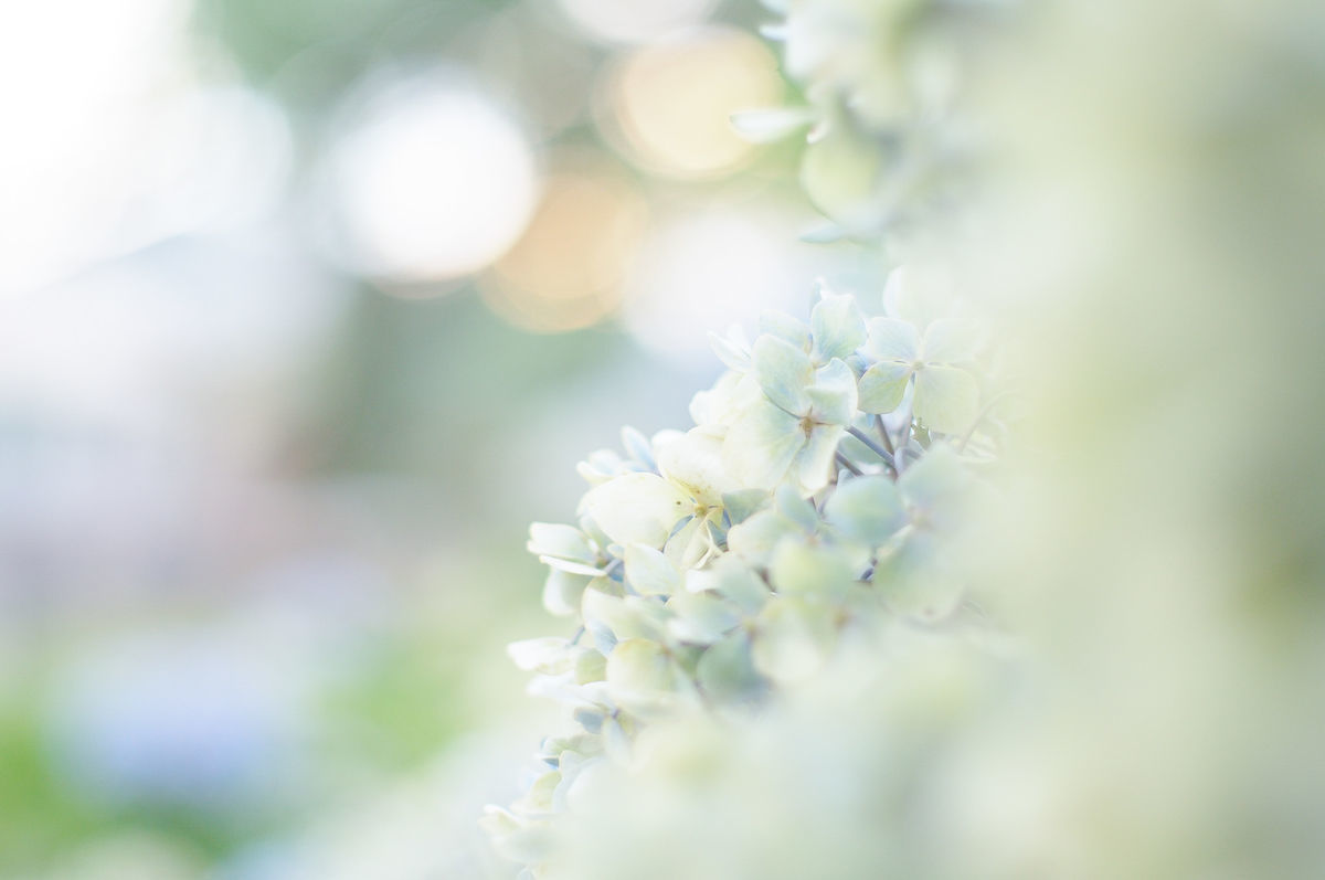 f:id:couleurnoor:20200130225312j:plain f:id:couleurnoor:20200130225312j:plain