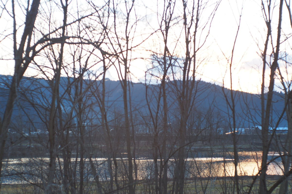 f:id:couleurnoor:20200320023429j:plain f:id:couleurnoor:20200320023429j:plain