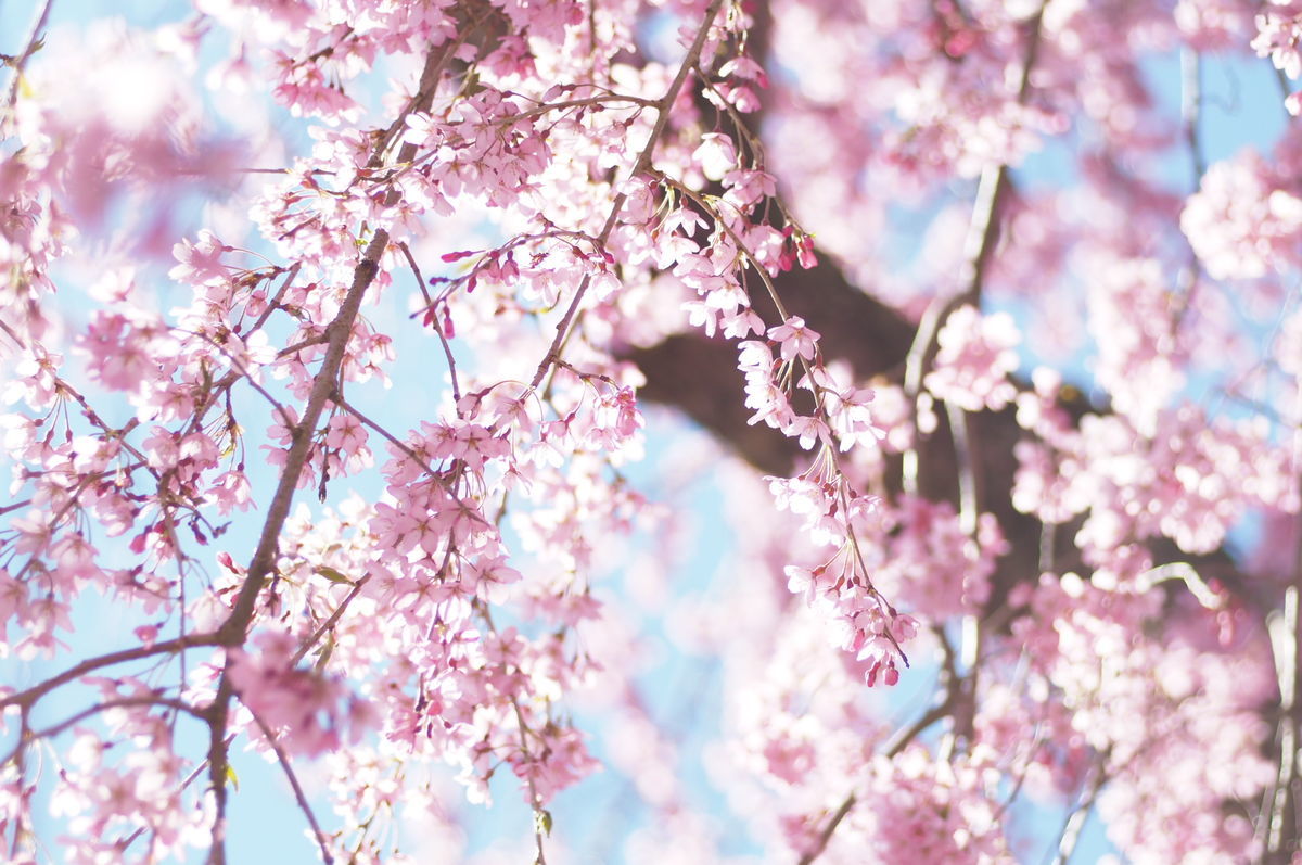 f:id:couleurnoor:20200422155653j:plain f:id:couleurnoor:20200422155653j:plain