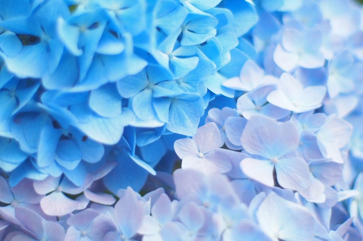 f:id:couleurnoor:20200704154747j:plain