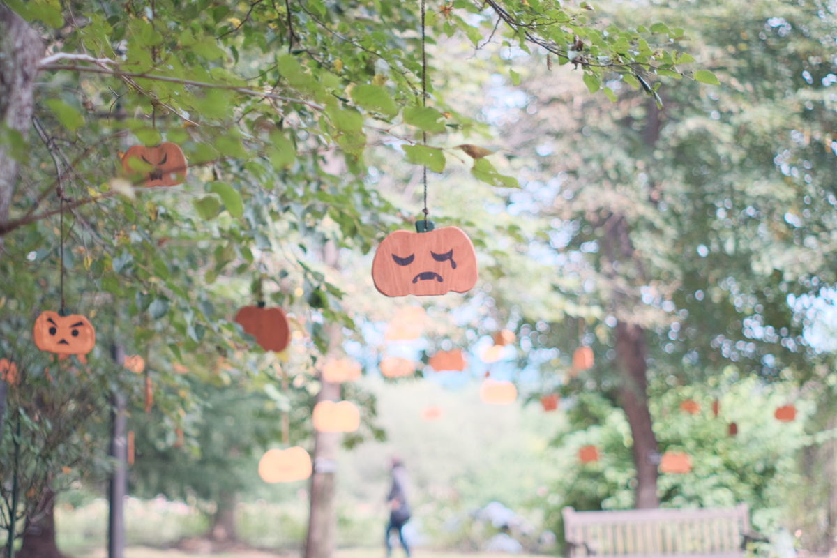 f:id:couleurnoor:20201031105608j:plain