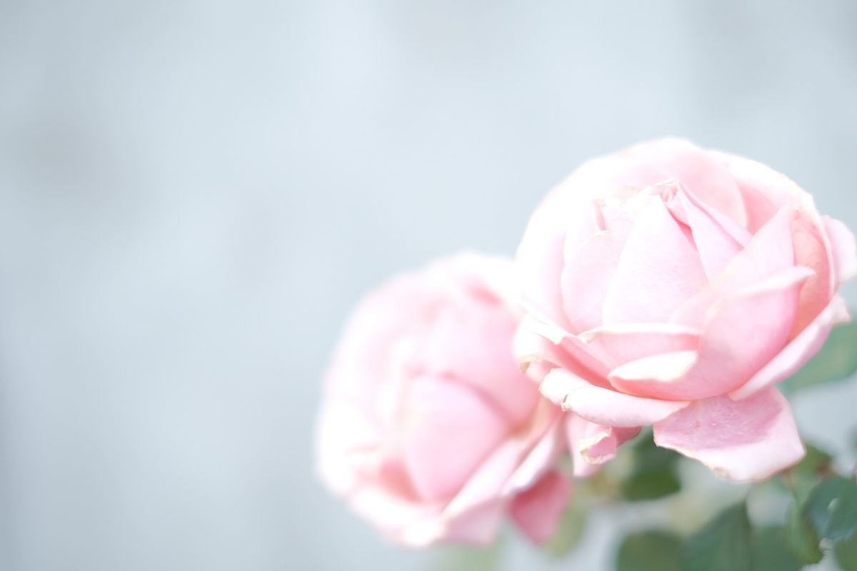f:id:couleurnoor:20201116132527j:plain