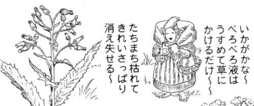 f:id:country-diary:20210923005216j:plain