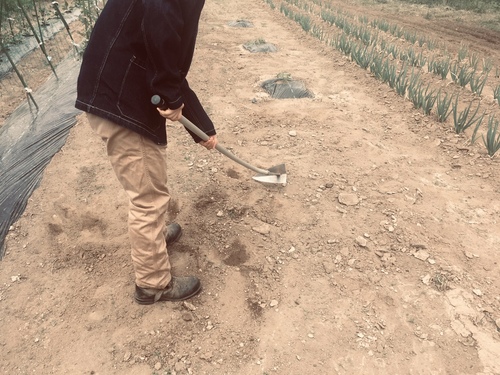 f:id:country-life:20190526200724j:plain
