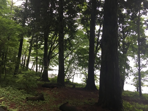 f:id:country-life:20190710080936j:plain