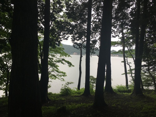 f:id:country-life:20190710080953j:plain