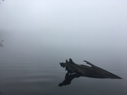 f:id:country-life:20190710081355j:plain