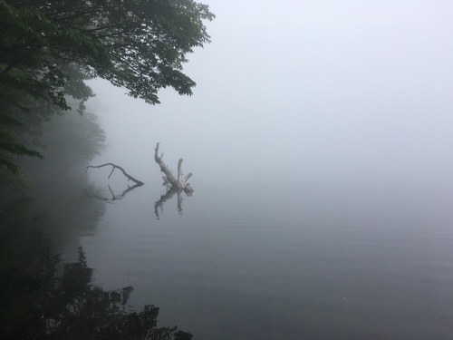 f:id:country-life:20190710081409j:plain