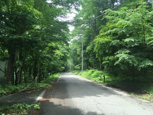 f:id:country-life:20190710081650j:plain