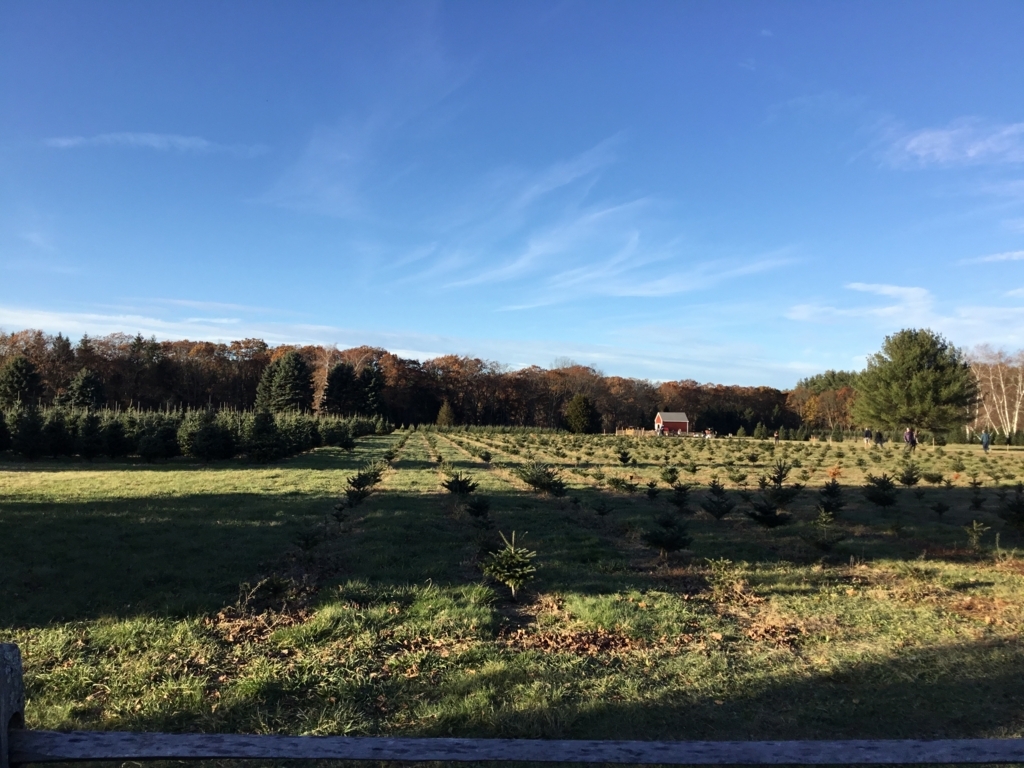 f:id:countstars:20171126132714j:plain