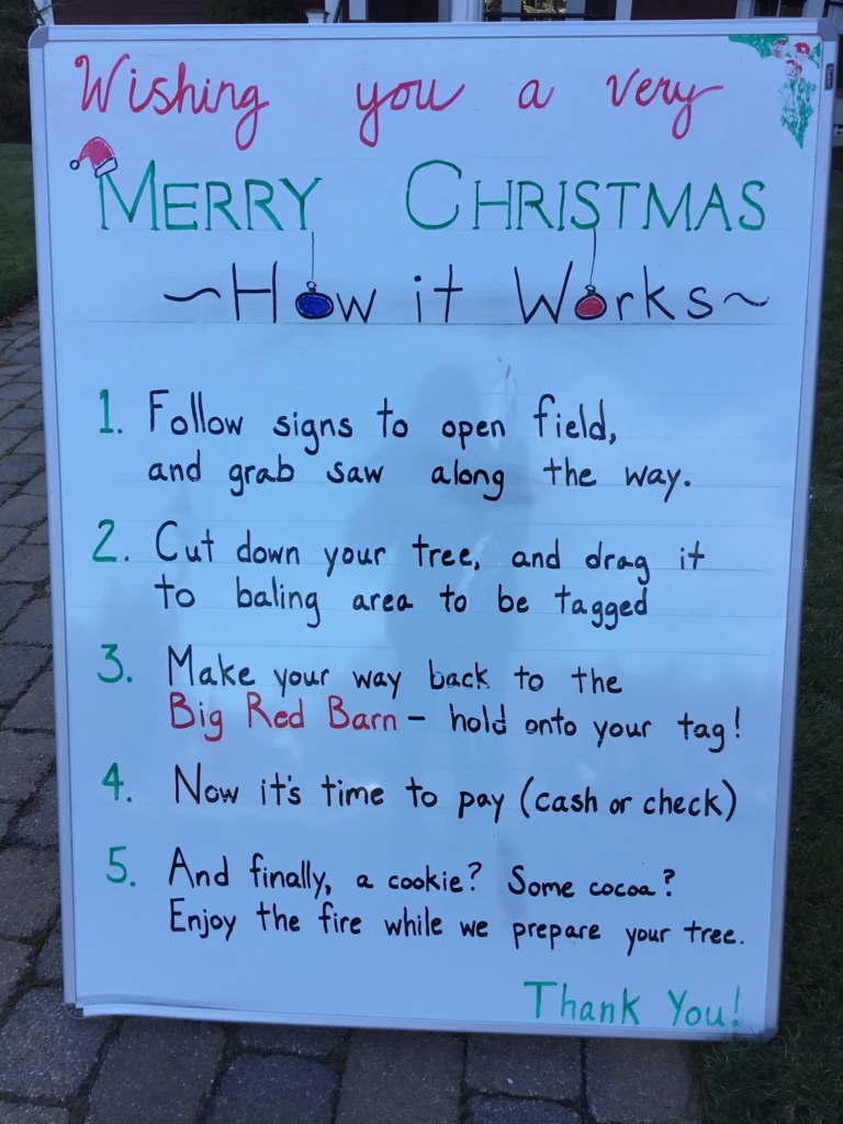 f:id:countstars:20171126132751j:plain