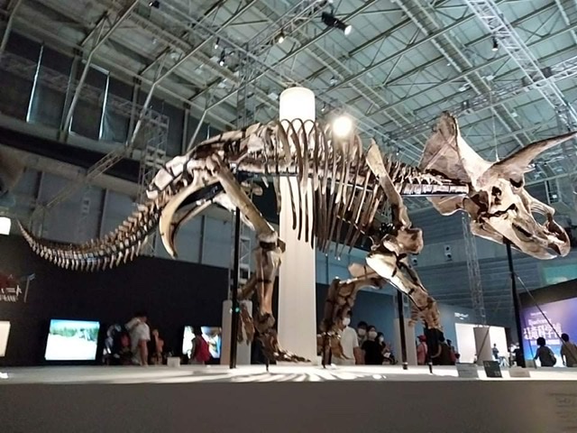 f:id:countstars:20210728193253j:plain