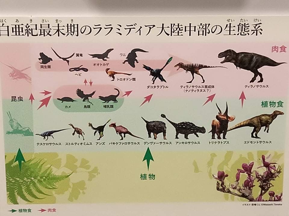 f:id:countstars:20210728193312j:plain