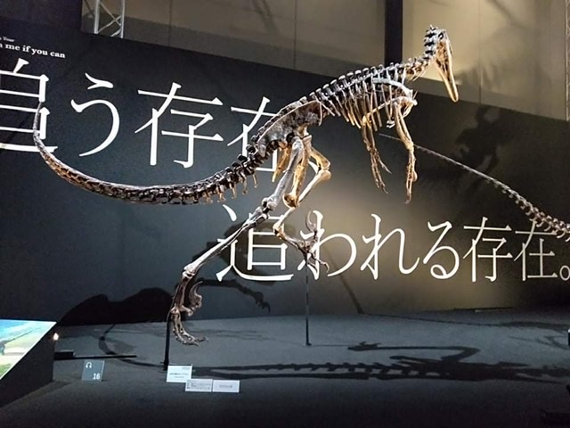 f:id:countstars:20210728193331j:plain