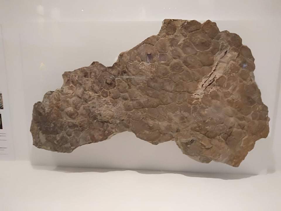 f:id:countstars:20210728194133j:plain